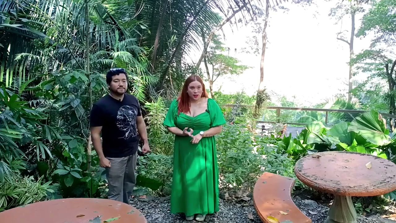 Un paraíso oculto en San Pedro Sula, Honduras