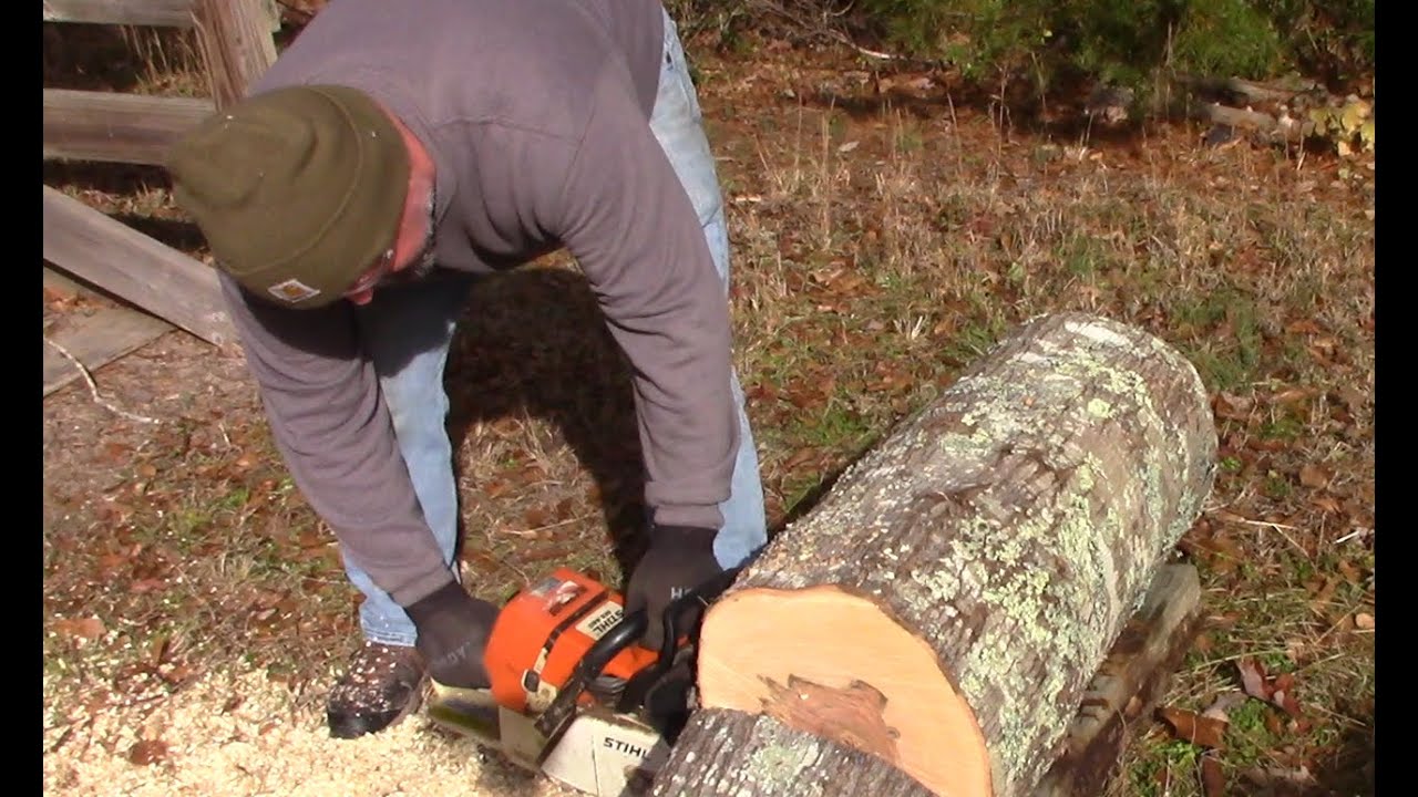 #167 Processing Green Logs into Turning Blanks