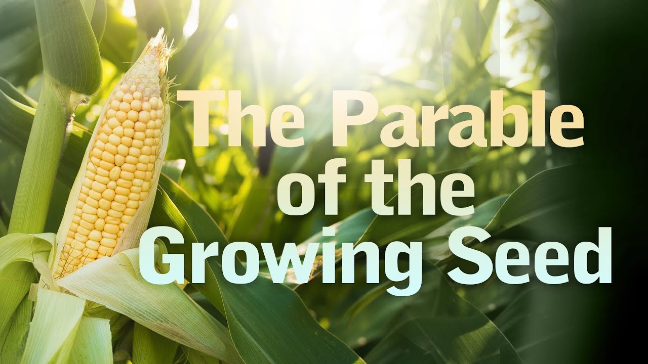 The Parable of the Growing Seed | Pastor Apollo C. Quiboloy