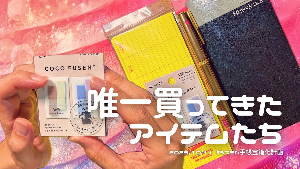 唯一【買ってきたもの】紹介🛍＆実はシステム手帳購入してる報告⁽⁽ଘ😇ଓ⁾⁾