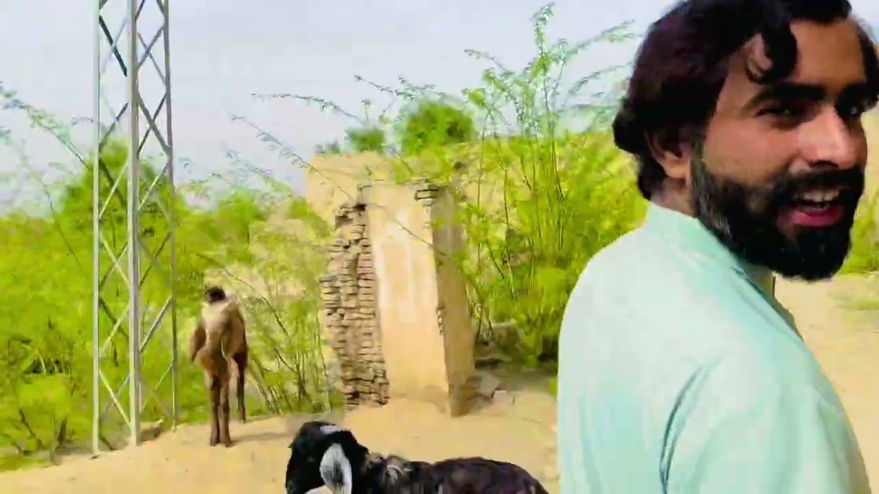 Dera Bugti Balochistn Qilla Nawab Akbar Khan Bugti 