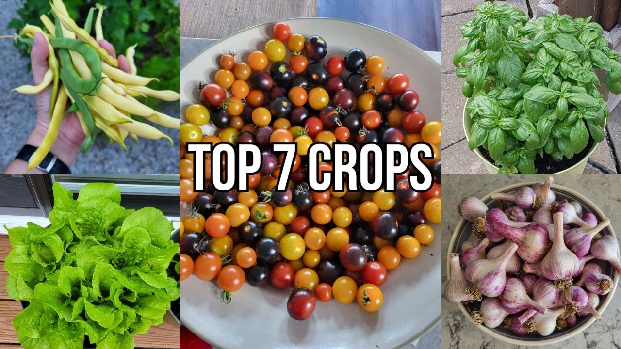 7 High‑Yield Crops That Thrive in Small Spaces