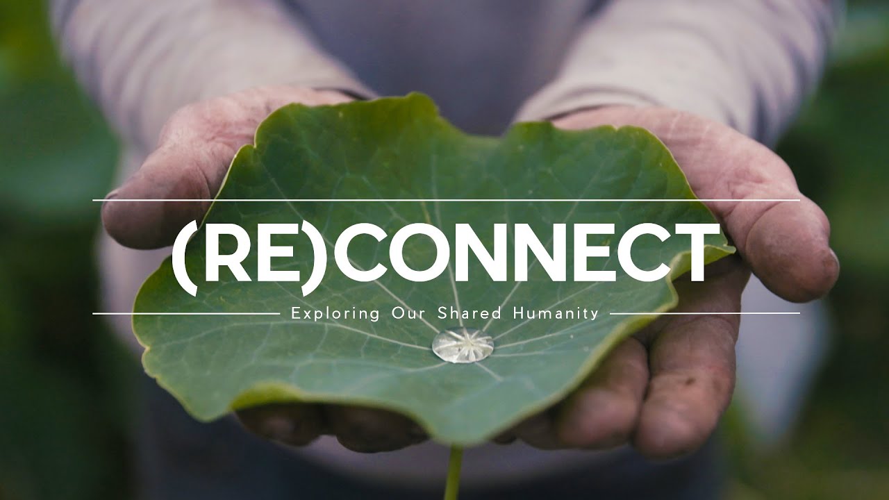 Nature's Healing Power: How to (Re)Connect with Wild Places