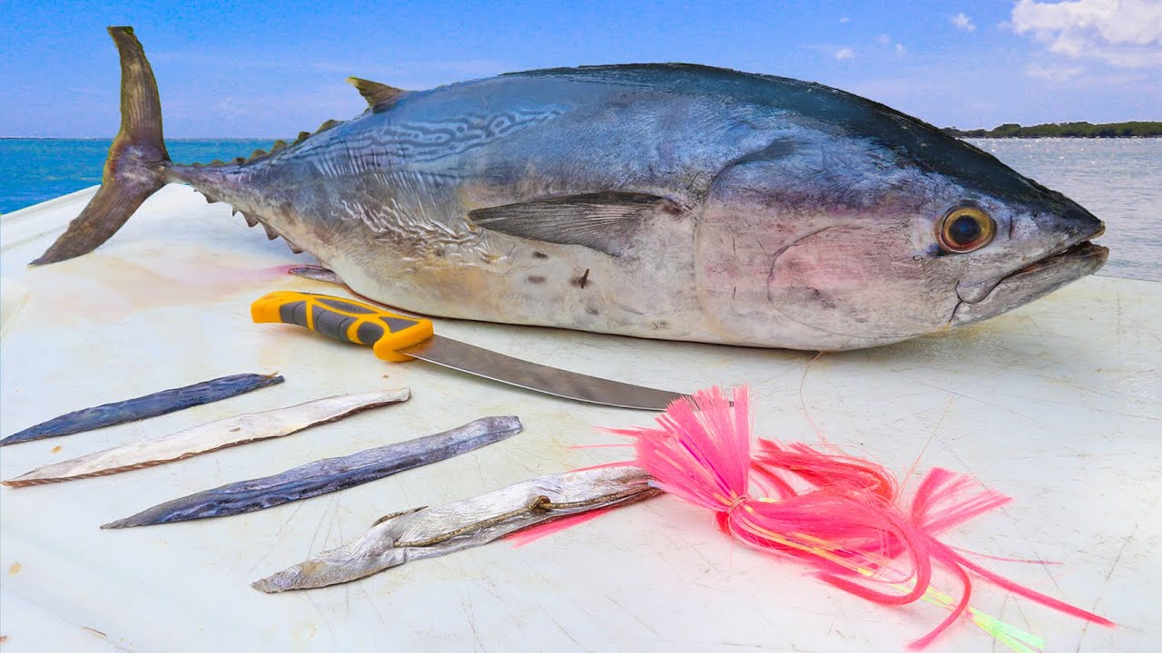 SECRET FREE BAIT Tackle Shops WONT Teach You! How To Make BONITO STRIPS for Trolling- Strip Bait Rig