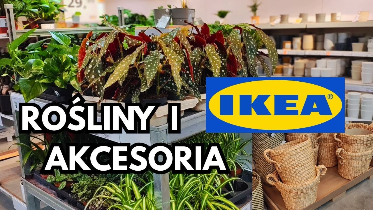 IKEA | Nowości Roślinne | Akcesoria | | Aktualna Oferta