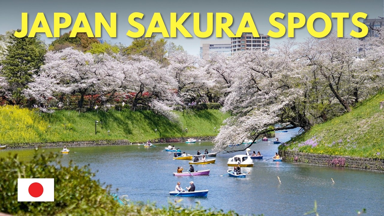 🌸 Japan Cherry Blossom Guide 2026: Best Sakura Spots Across Japan 🌸