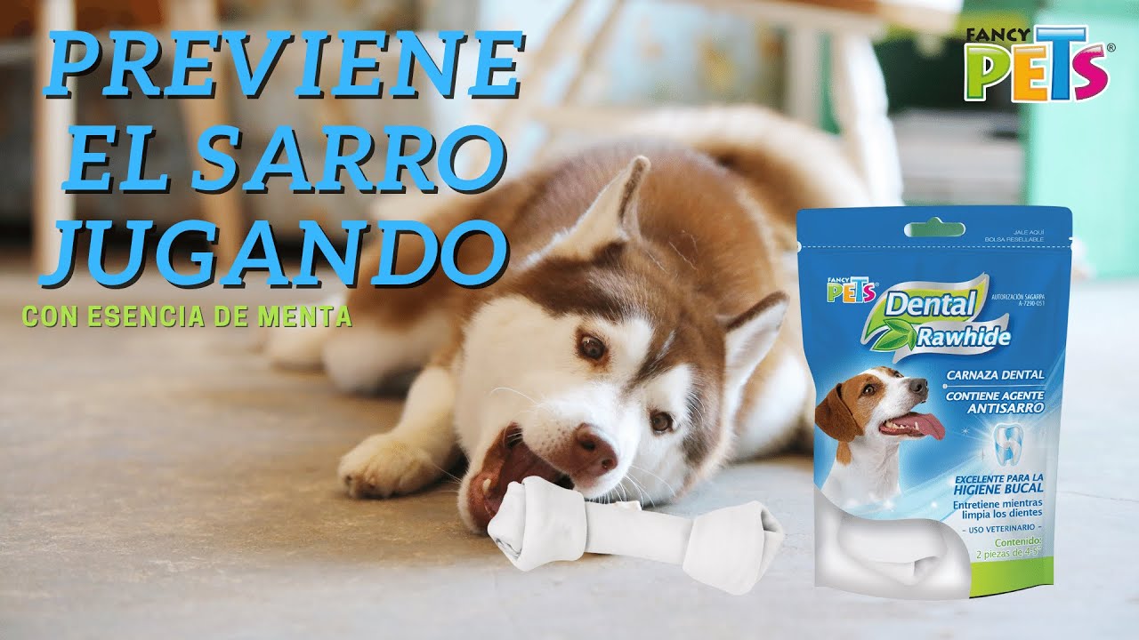 Carnaza dental | Fancy Pets