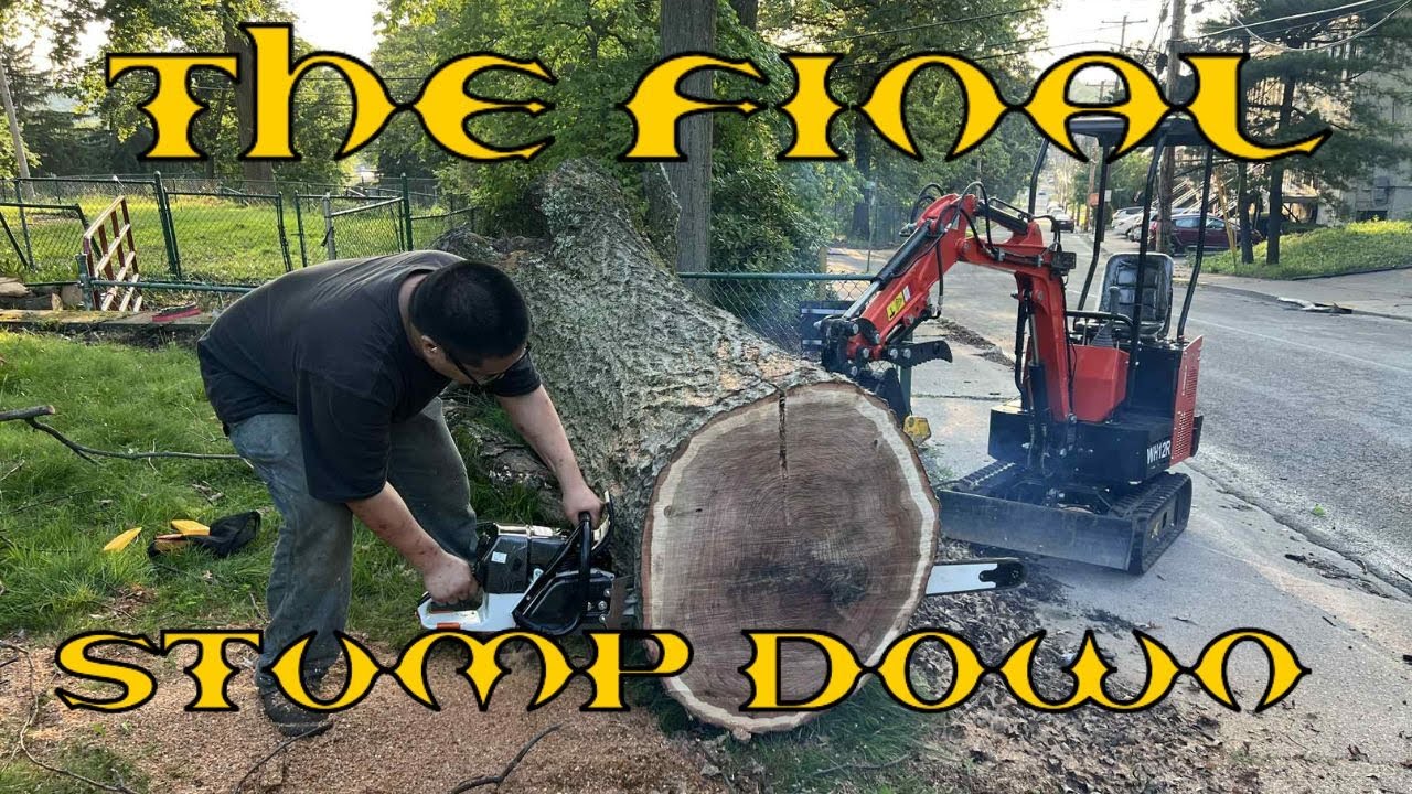 It's the Final stump down. Storm clean up Episode 6