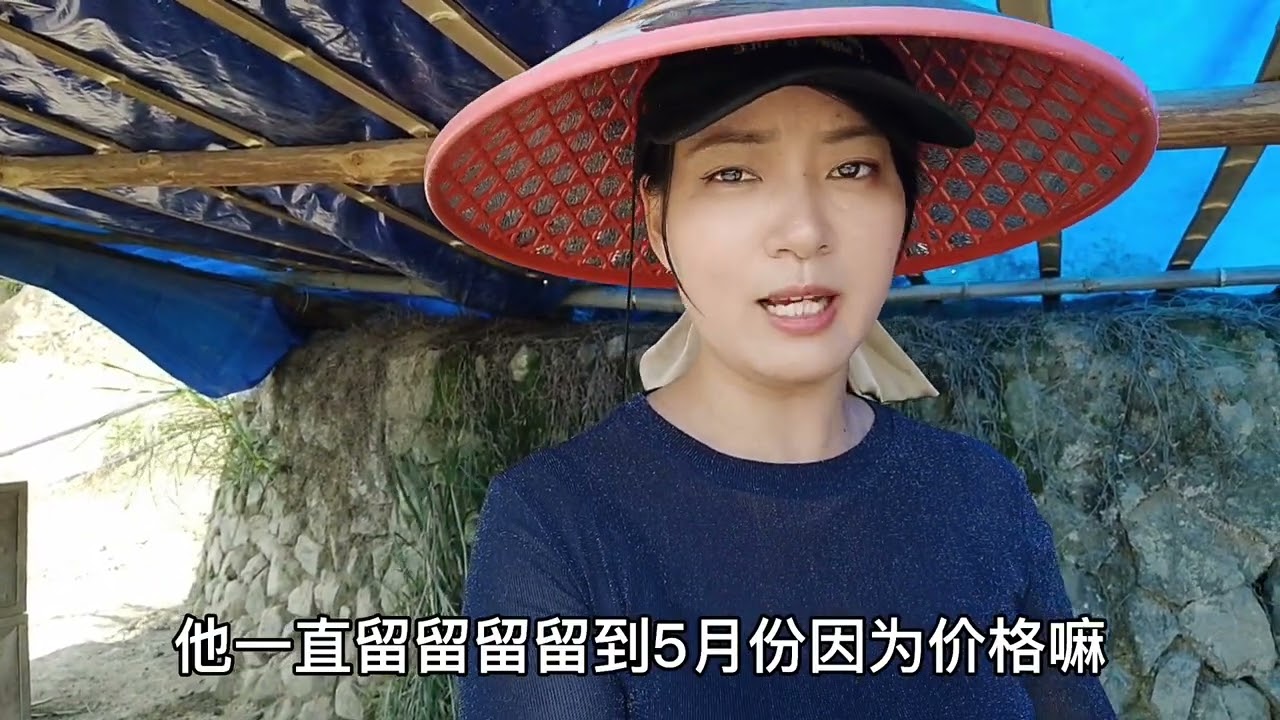 很好奇！小伙放养了12个月的黑猪，时间那么长这样不会亏本？