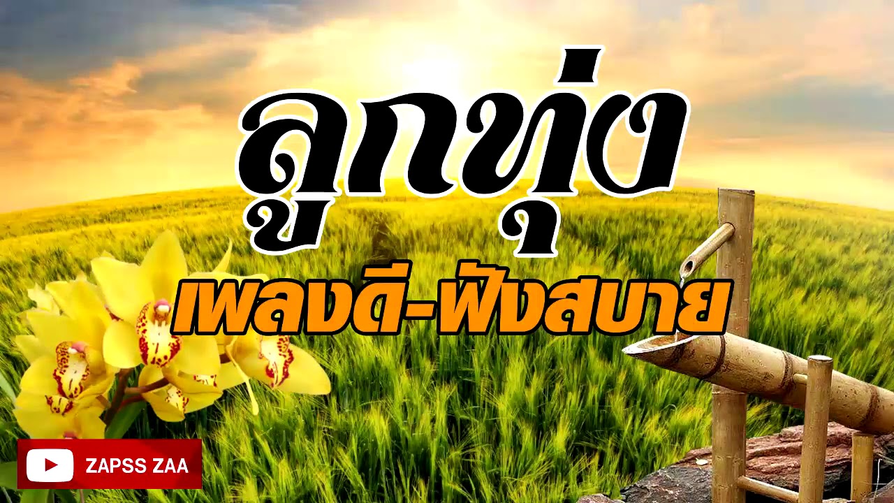 เพลงลูกทุ่งดีฟังเพราะ รวมเพลงฮิตฟังสบายยามเช้า