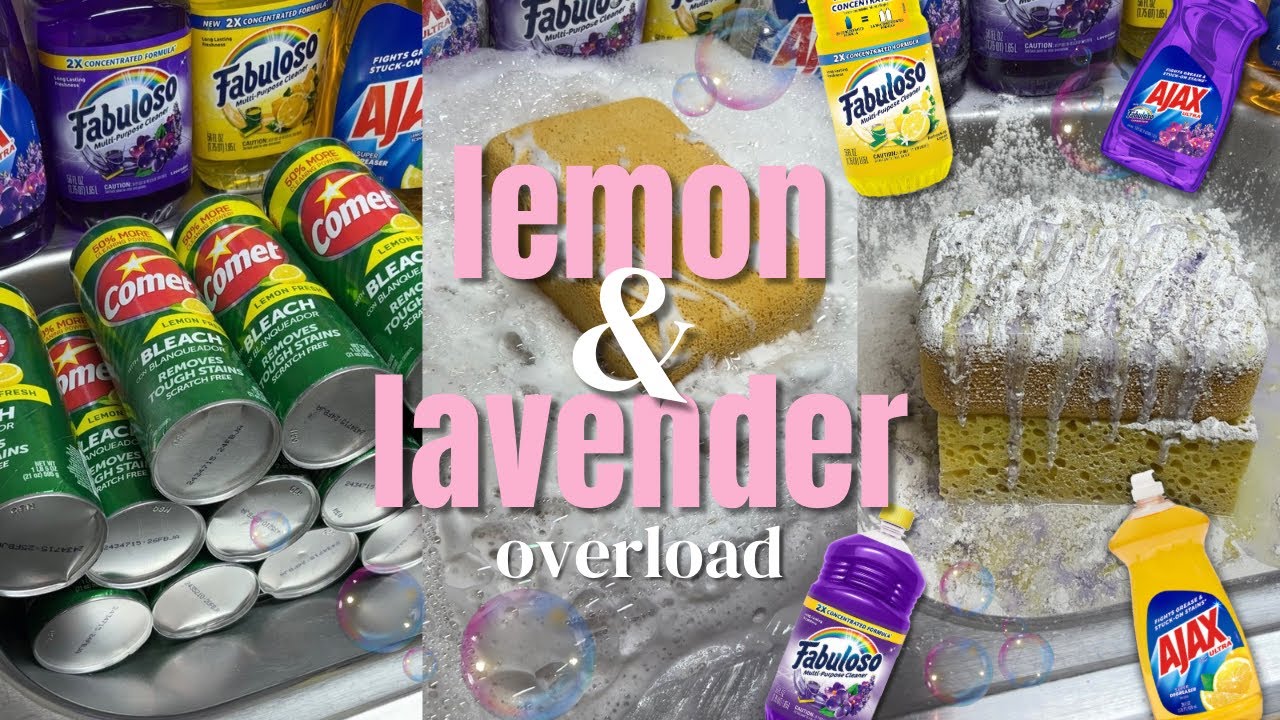 Lemon & Lavender OVERLOAD Sponge ASMR 🍋🪻💫🧽
