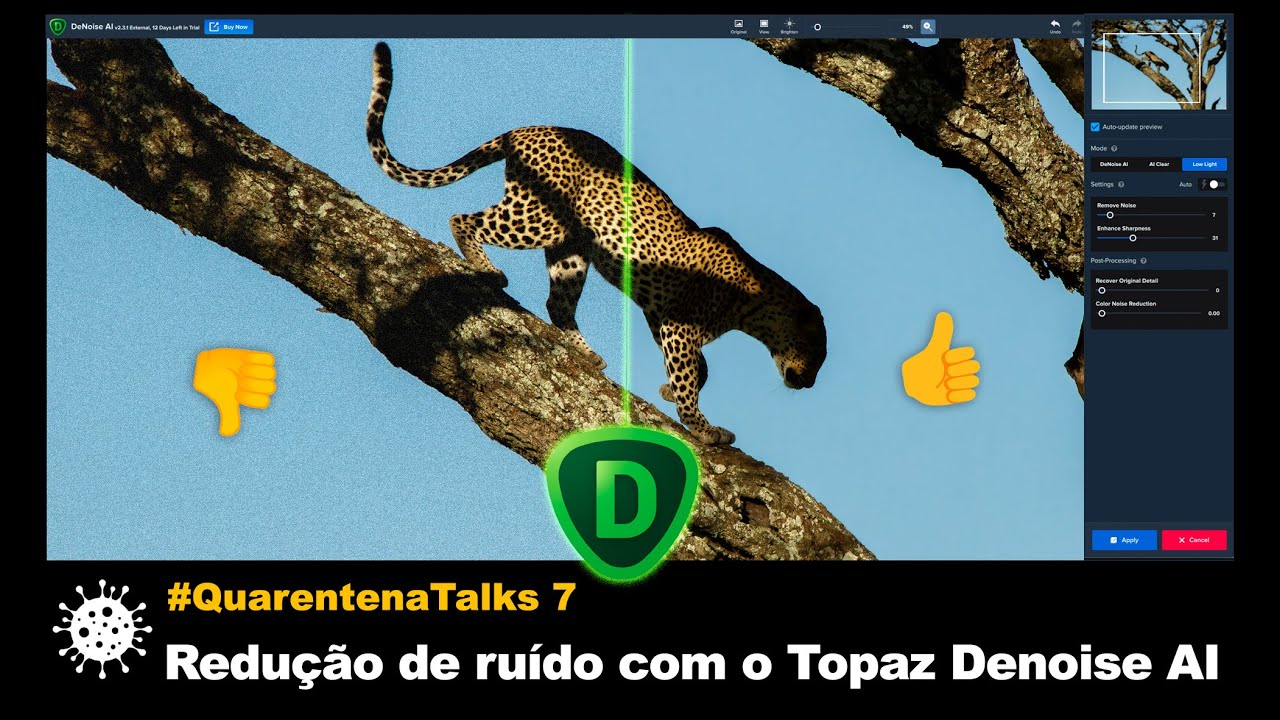 É possível reduzir o ruído da foto com o Topaz Denoise AI?