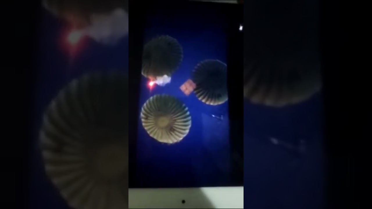 Maskara M4 Kutu A&ccedil;ılımı