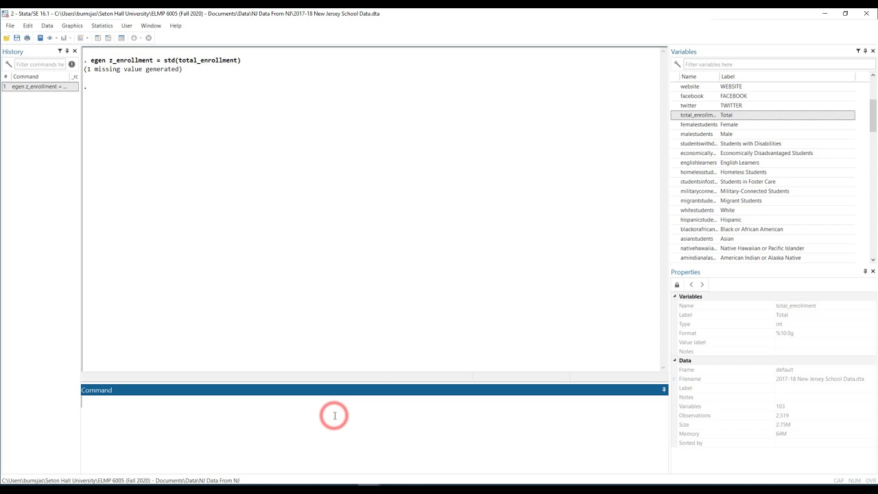 Using Stata Computing Standardized or Z Scores