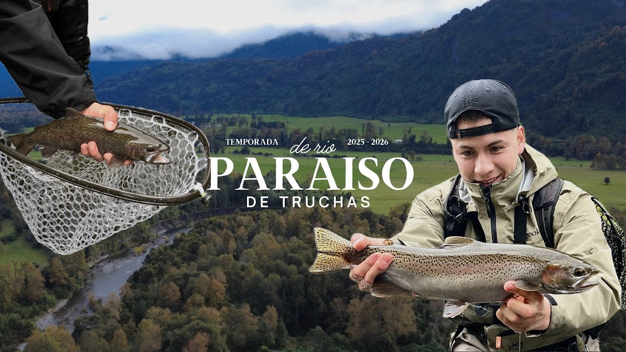 INICIANDO TEMPORADA 25-26 REGION DE LOS RIOS - SALIERON PUROS TRUCHONES #fishing #pescaultralight 