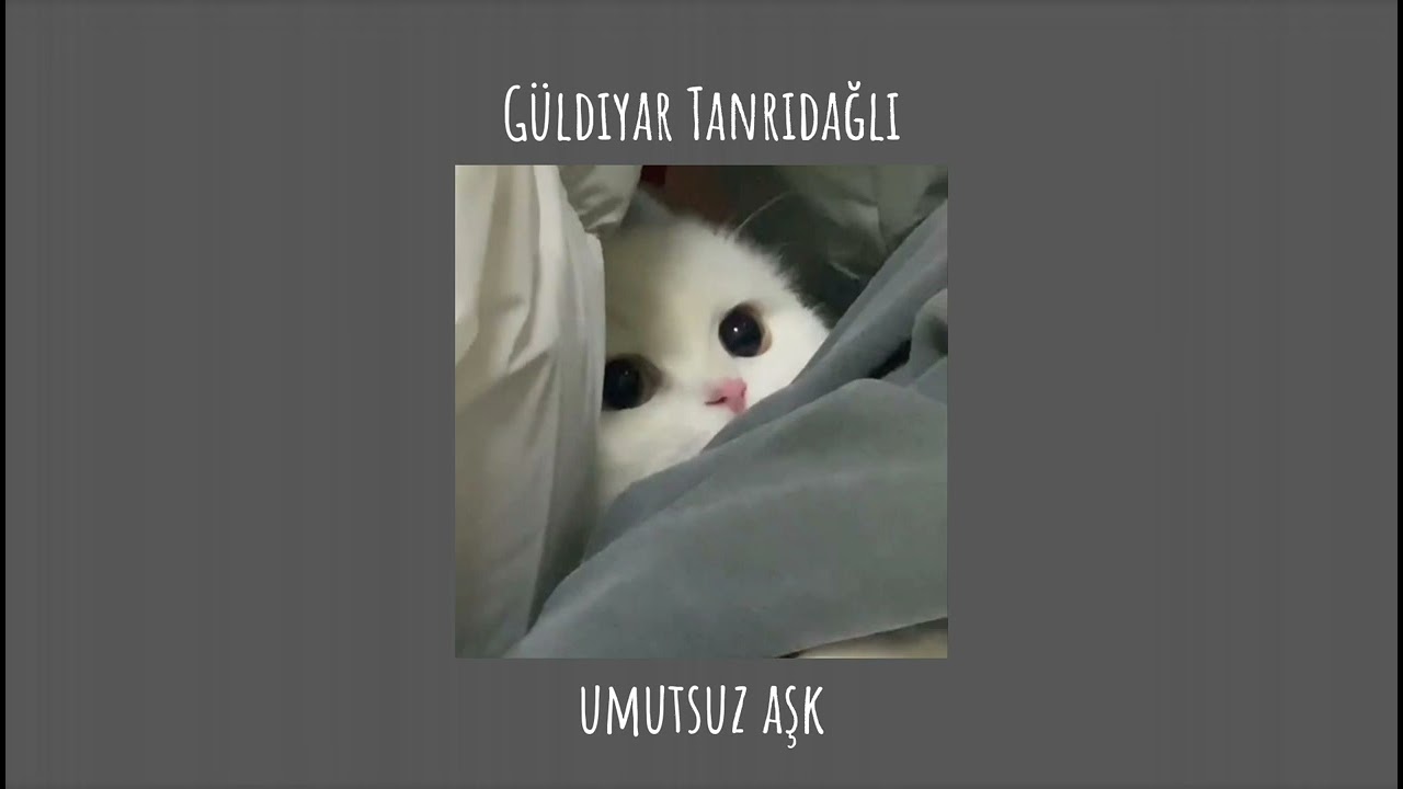 `Umutsuz Aşk ♡ speed-up` 