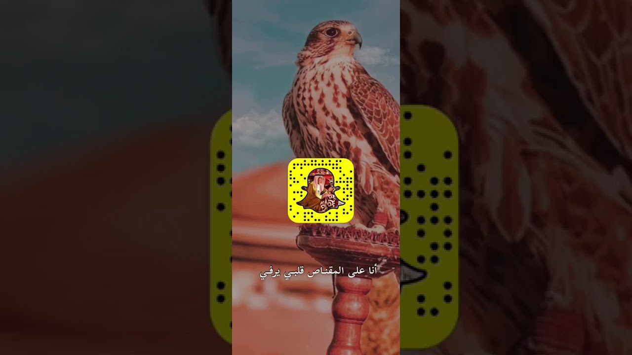 انا على المقناص قلبي يرفي (بدر الحويفي )