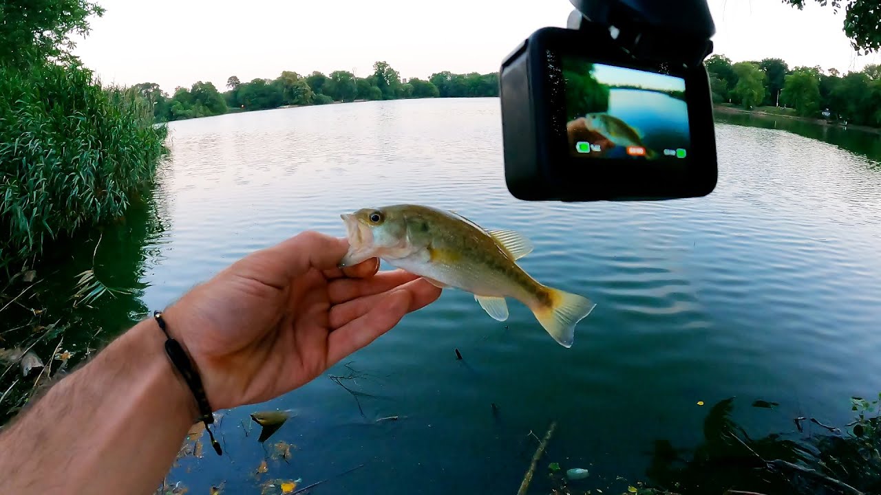 Micro Finesse Jigging for Largemouth Bass + Crappie