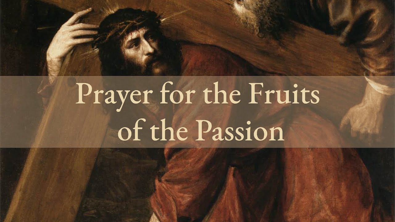 Prayer for the Fruits of the Passion | Amen Catholic Prayers