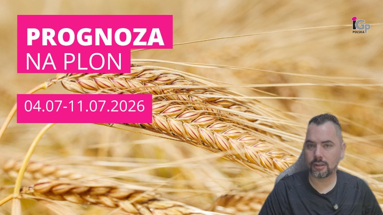 𝗣𝗿𝗼𝗴𝗻𝗼𝘇𝗮 𝗻𝗮 𝗣𝗹𝗼𝗻: 04.07-11.07.2026 🌤️ 🌱