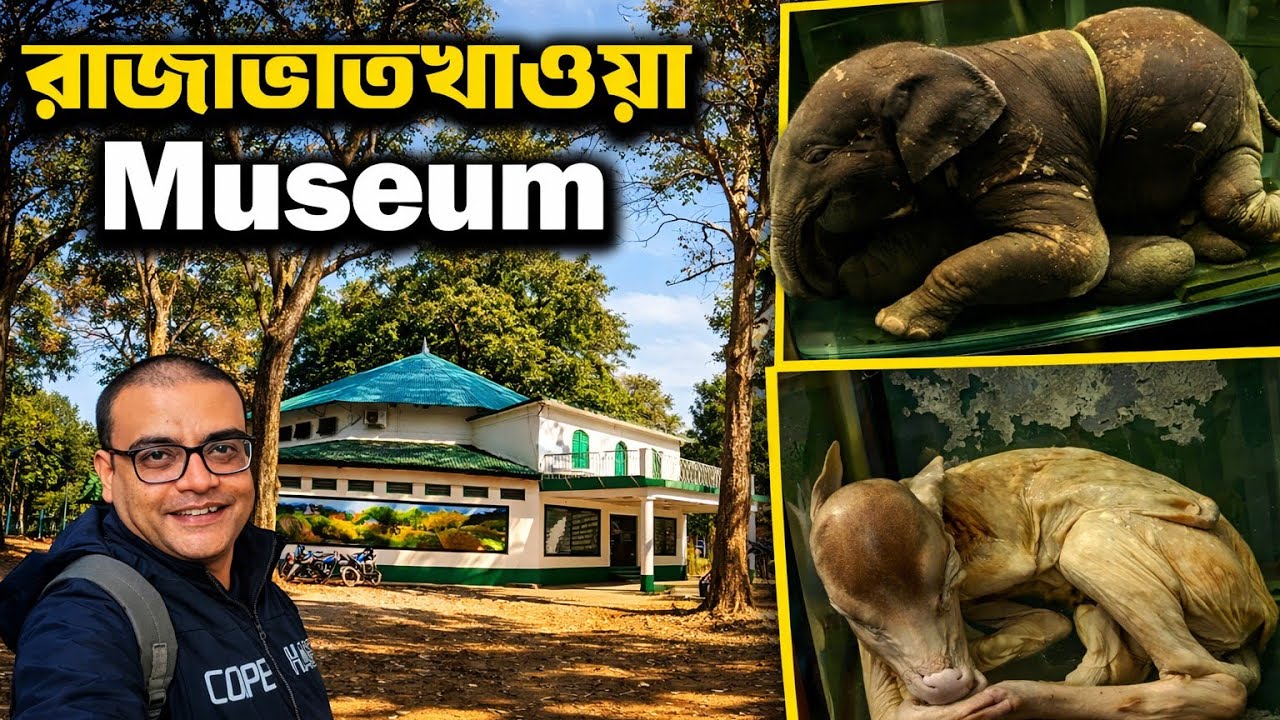 Rajabhatkhawa Museum | Buxa Tiger Reserve Nature Interpretation Centre | রাজাভাতখাওয়া মিউজিয়াম