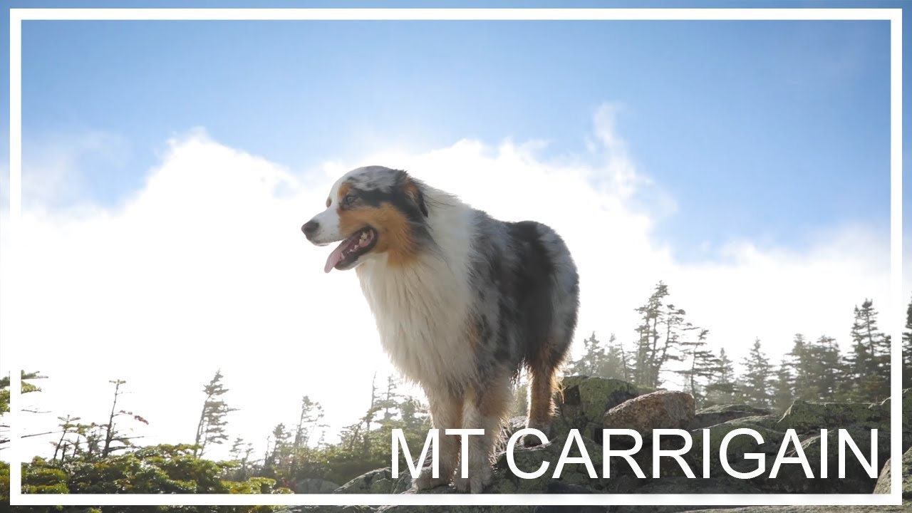 Mount Carrigain Hike