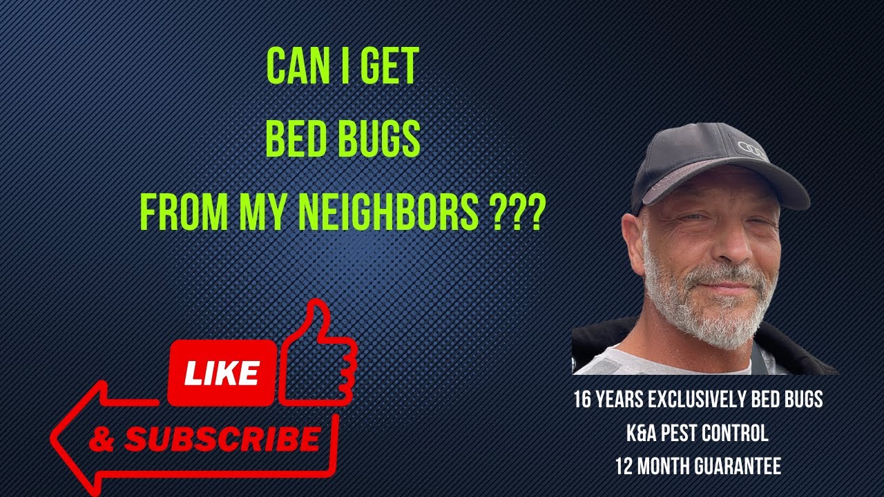 Can I Get Bed Bugs From My Neighbors?