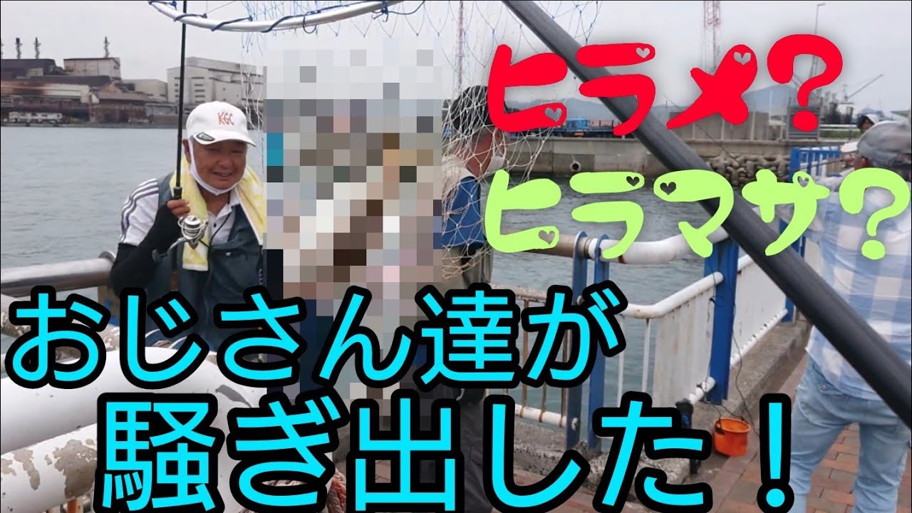 『また、ヒラメ？』『いや、ヒラマサやない？』おじさん達が騒ぎだして、場内騒然!！　北九州　日明海峡釣り公園