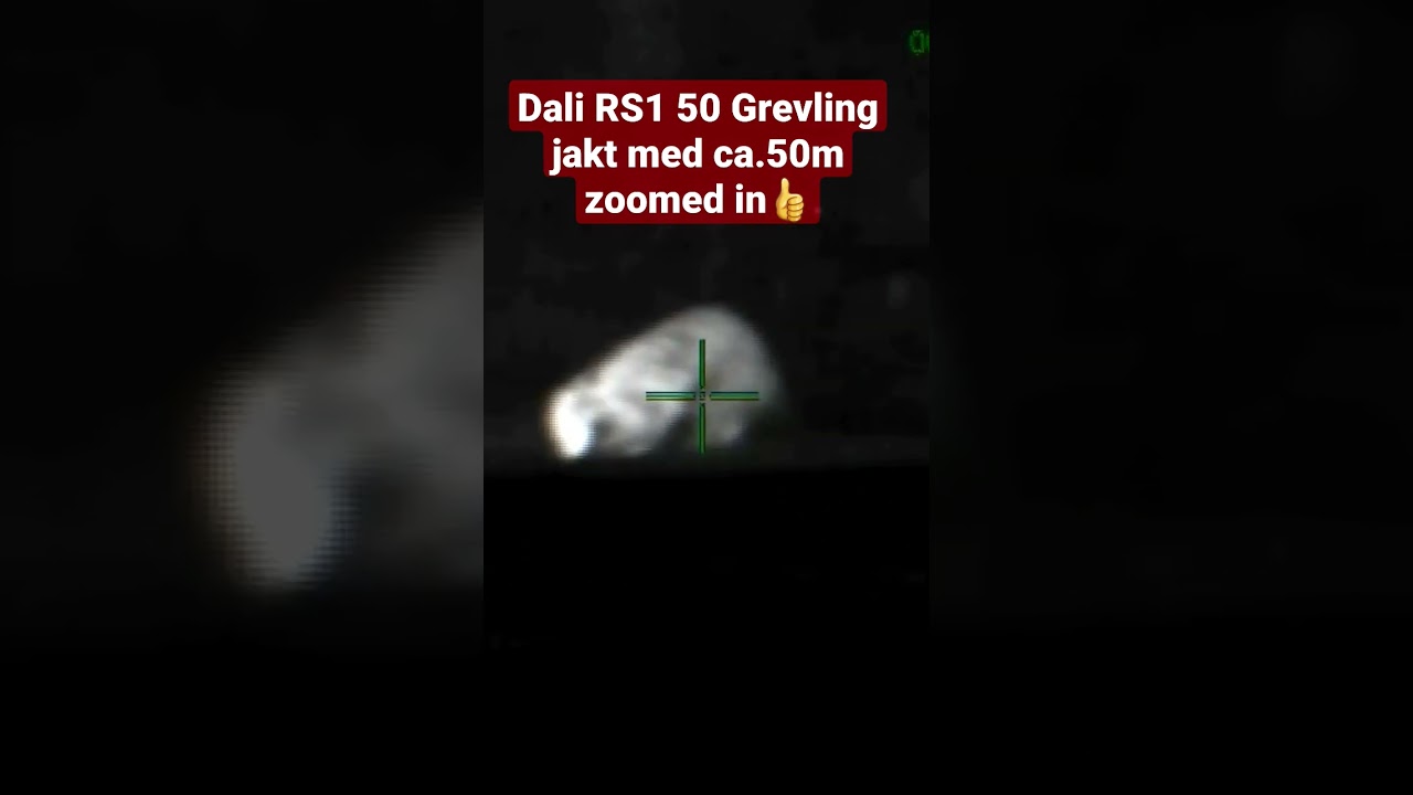 Thermal optics Dali Rs1 50 grevling jakt x2 zoom and digital zoom - ca. 50 m #hunting #grevling
