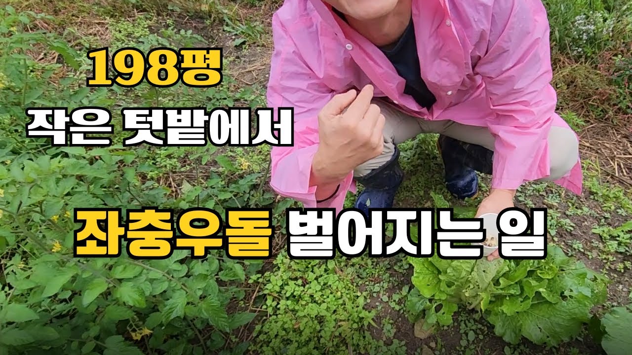 5도2촌 작은텃밭에서 벌어지는 좌충우돌기 (달팽이떼죽음/마늘심기/산딸기밭/머위밭/해물짬뽕만들기/등갈비돼지껍데기막걸리)