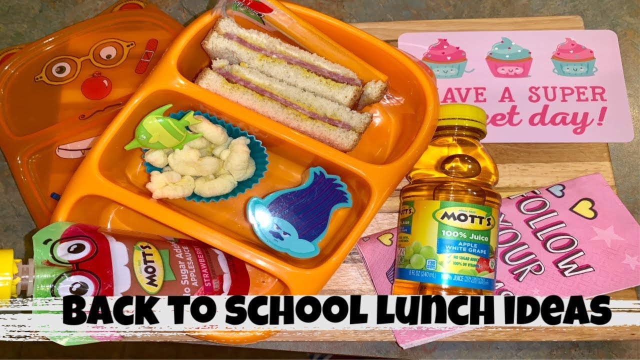 BACK TO SCHOOL LUNCH IDEAS  #4 | RAISINGHALO