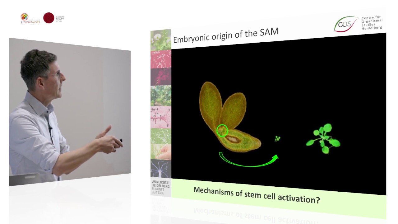 Control of Stem Cell Behavior by Environmental Signals