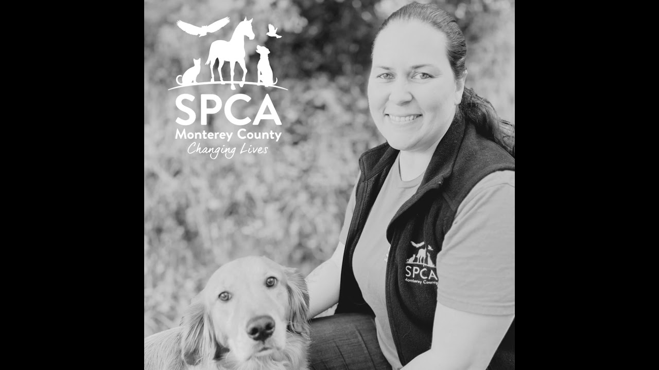 SPCA Stories - Ciera Duits-Cavanaugh, SPCA Wildlife Manager