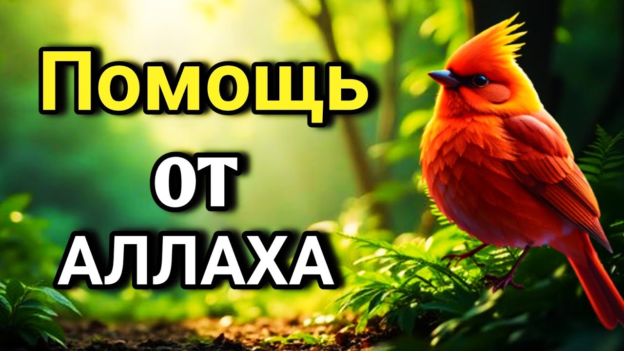 ☝️ ОЧЕНЬ СИЛЬНЫЙ ДУА - Аллах дарует выход из любой трудности! 🤲✨💯