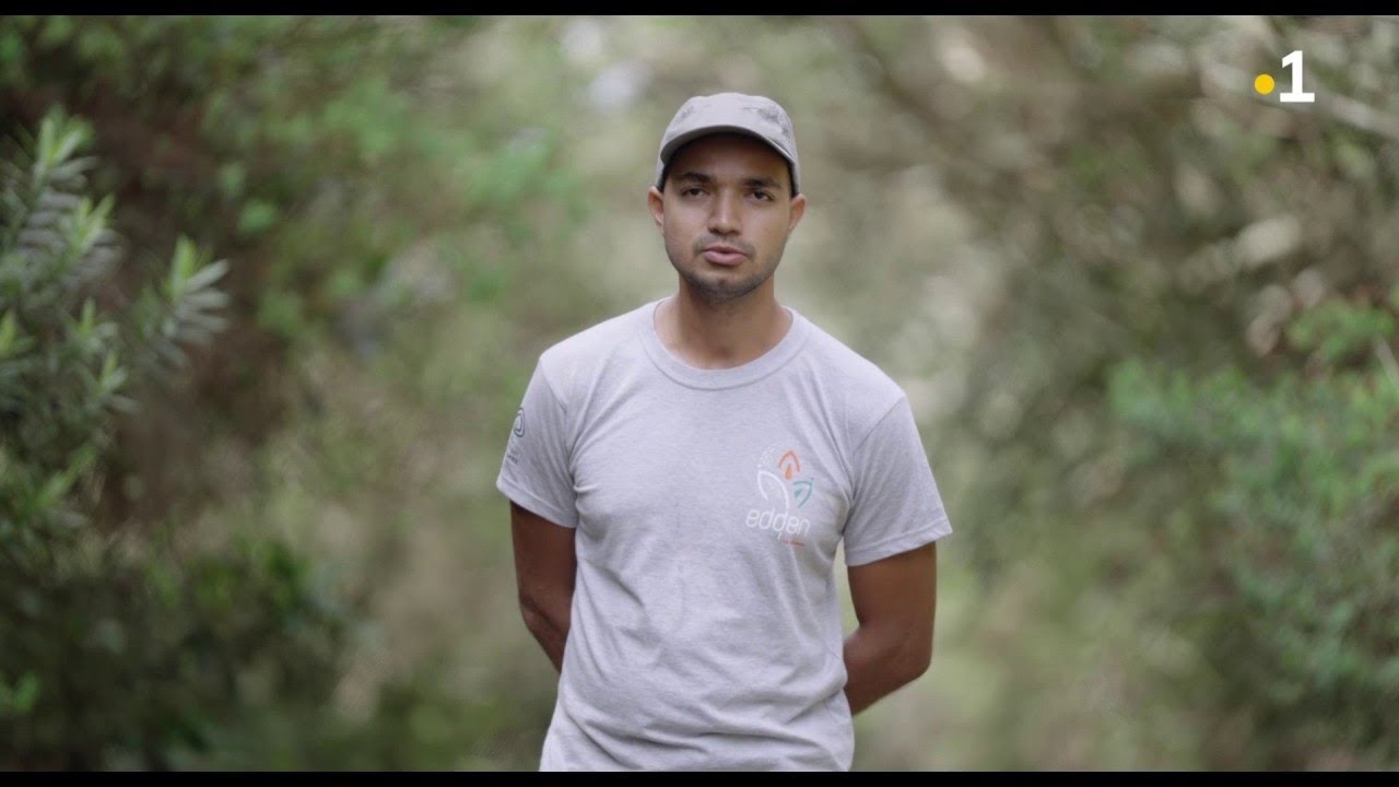 Loca' Terre : Récolte des espèces indigènes pour alimenter le programme 1 million d'arbres !
