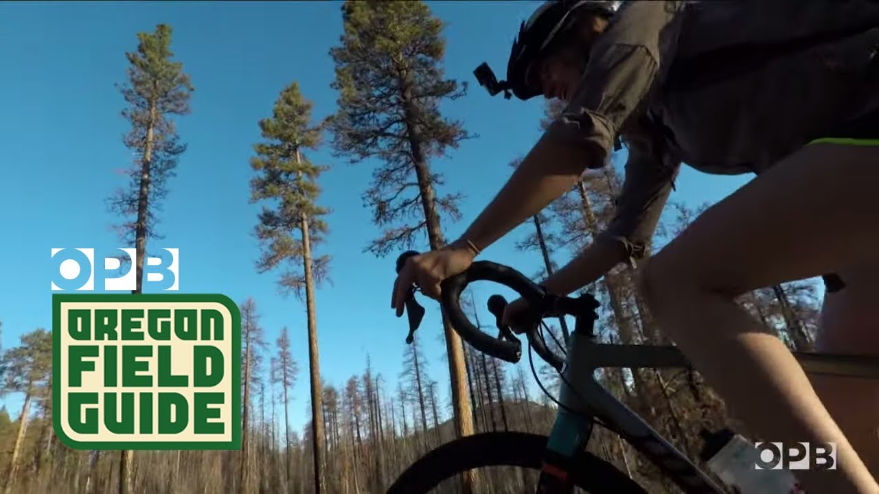 Tour An Only-In-Oregon Highway Where Bikes Rule The Road | Oregon Field Guide