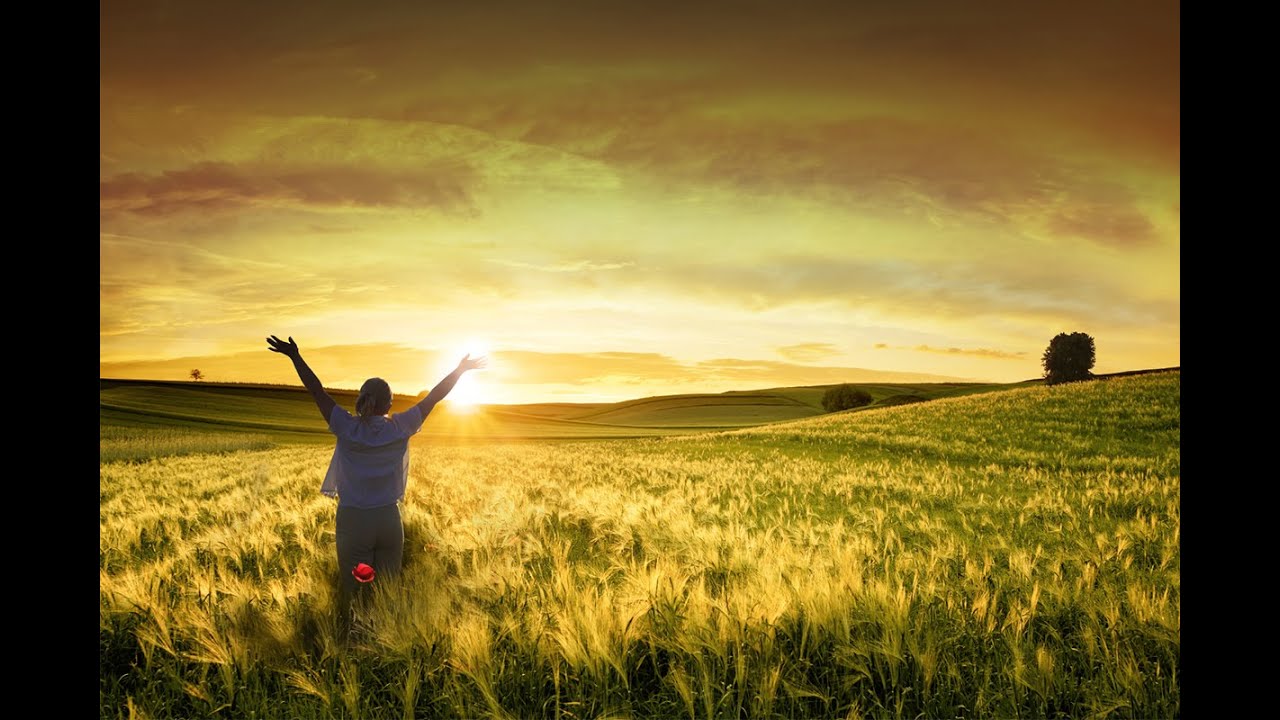 You Are Alive! Celebrate and be Joyful!