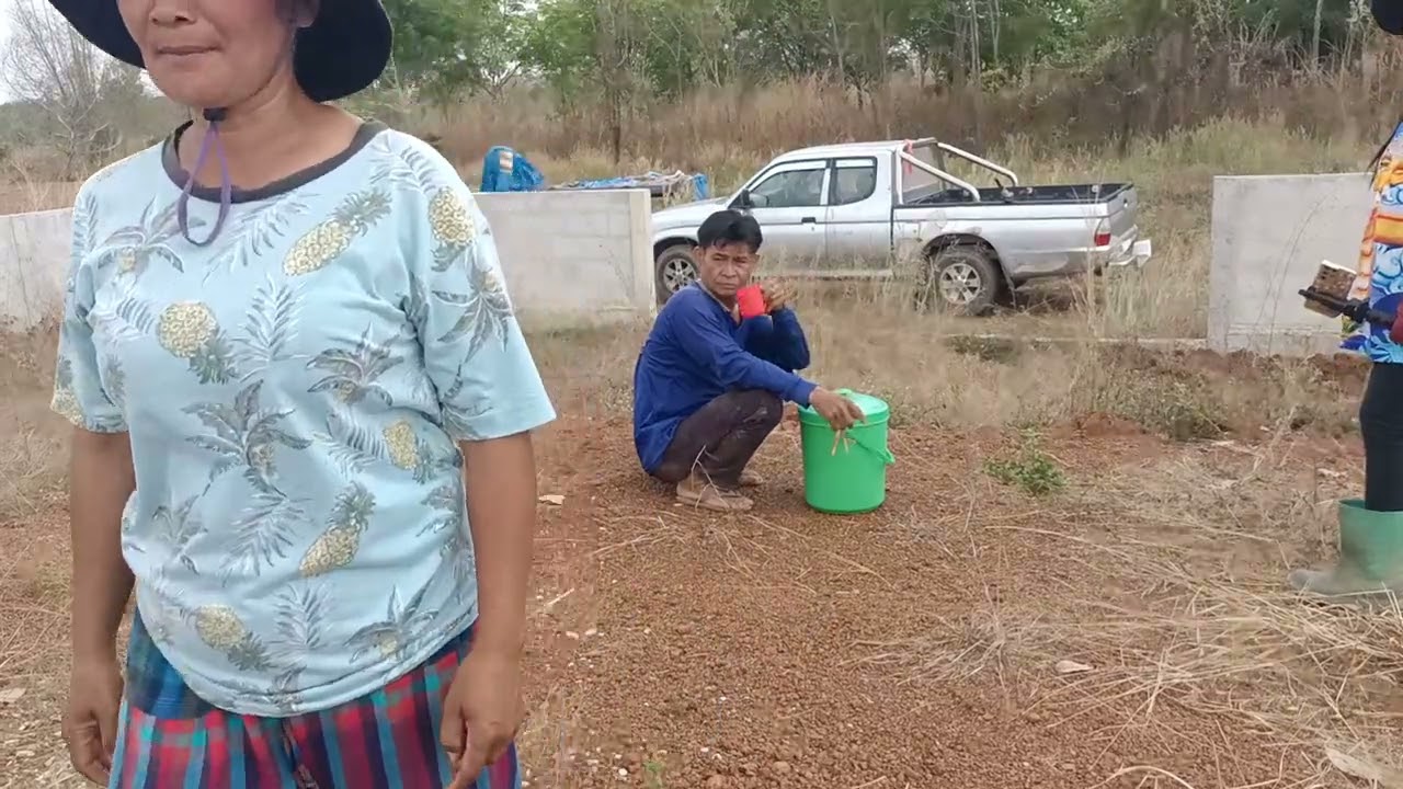 ใครมาให้กำลังลุงเสือ!!ขุดได้กี่หลุมแล้ว!แอนให้ลุงเสือมาดูที่จะทำอะไร