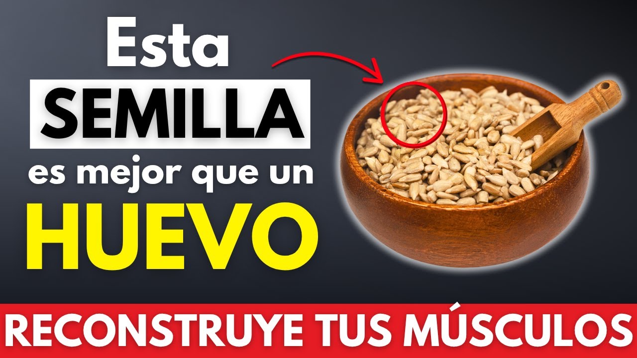 5 Alimentos con Más Proteína que el Huevo (El #3 te dejará sin palabras)