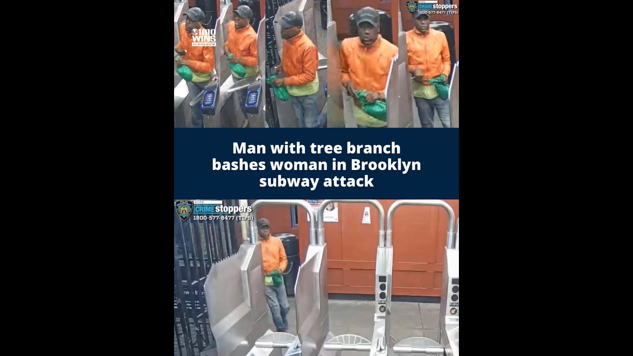 Man with tree branch bashes woman in Brooklyn subway attack