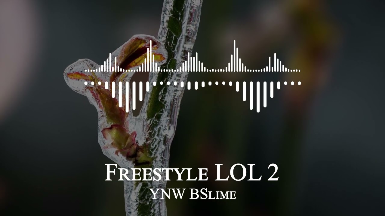 YNW BSlime - Freestyle LOL 2