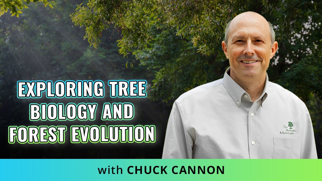 Exploring Tree Biology And Forest Evolution With Dr. Chuck Cannon @MortonArboretum