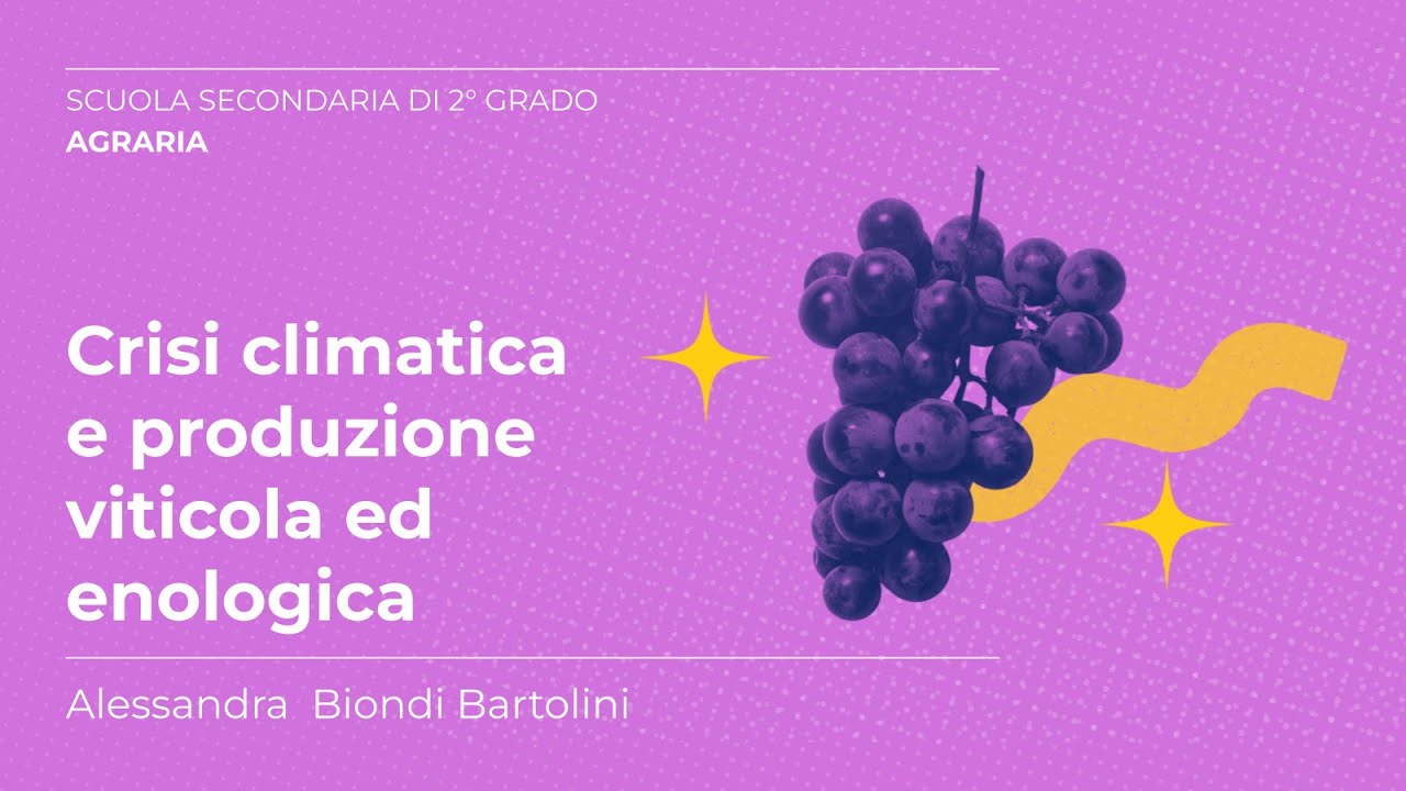 Crisi climatica e produzione viticola ed enologica | Alessandra Biondi Bartolini