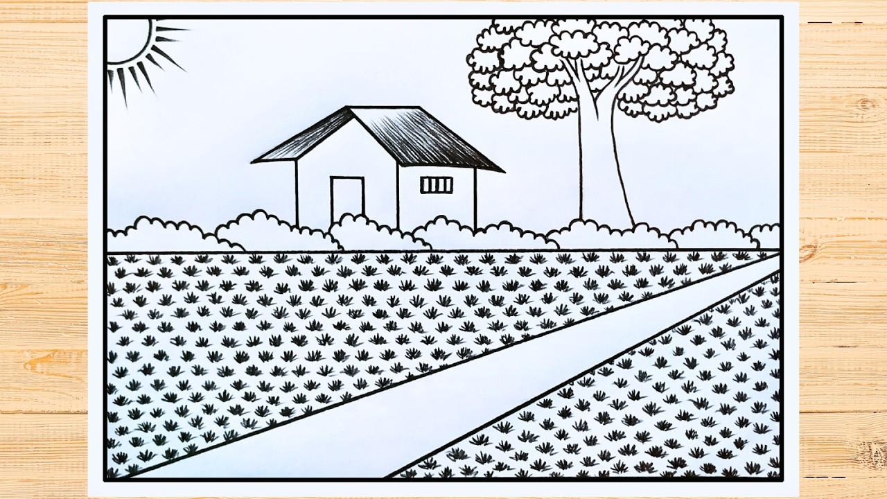 গ্রামের ধান ক্ষেতের দৃশ্য আঁকা | Paddy field scenery drawing for beginner | Village scenery drawing