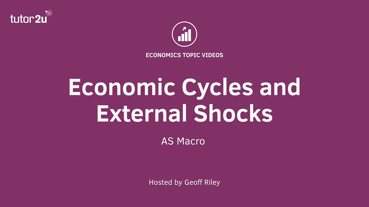 External Shocks and Economic Cycles