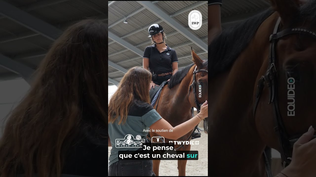 Le Bit et Bridle-fitting, comment ça marche ?