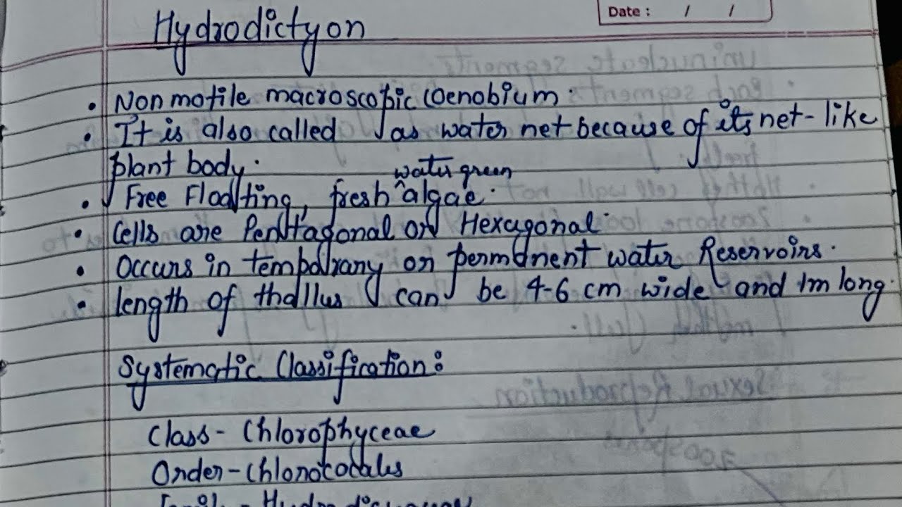 Hydrodictyon with Handwritten notes #educationalvideos #biology #phycology #algae 