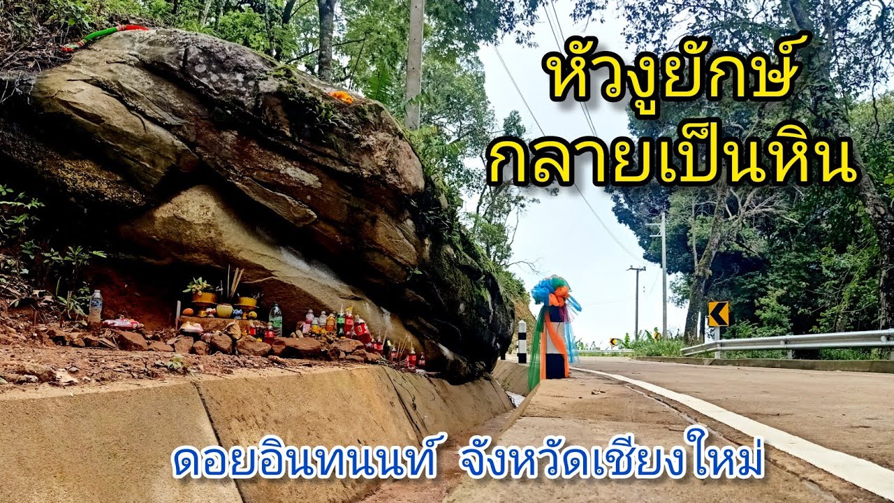 #หัวงูยักษ์ กลายเป็นหิน #งูยักษ์ #ดอยอินทนนท์ #บ้านสวนกาแฟสหายพเนจร