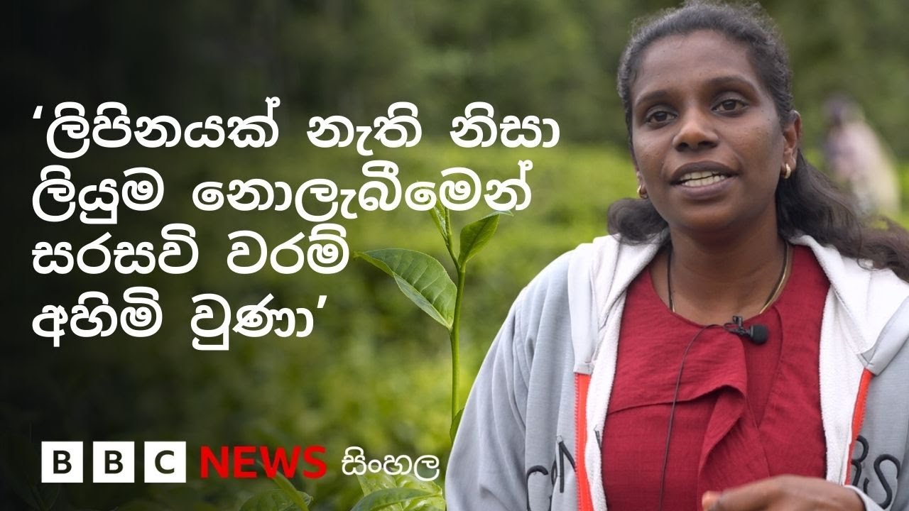 'මලෙයියහ දමිළ': වසර 200ක් ගත වුව ද අයිතිවාසිකම් අහිමි වූ ප්‍රජාවකගේ කතාව | BBC News සිංහල