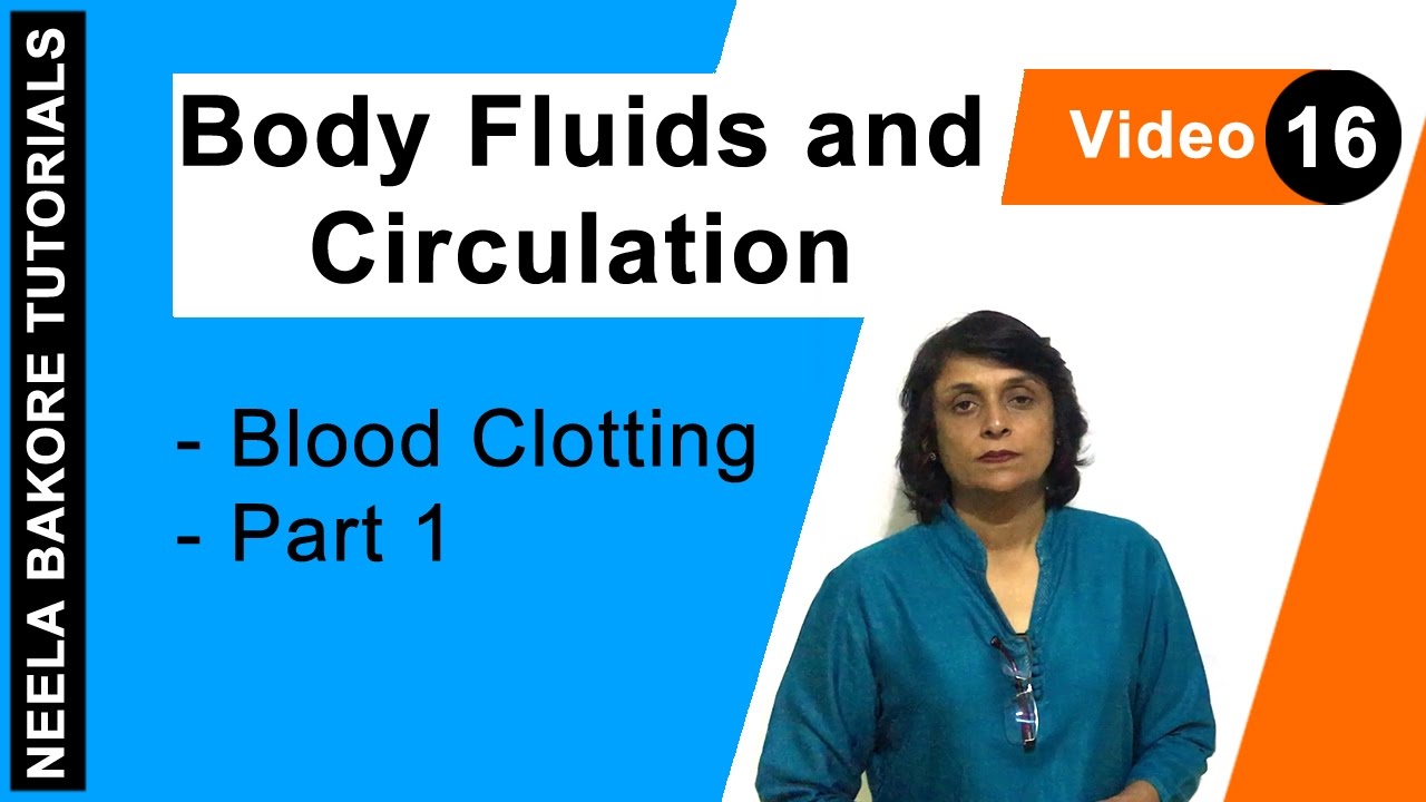 Body Fluids and Circulation | NEET | Blood Clotting - Part 1 | Neela Bakore Tutorials